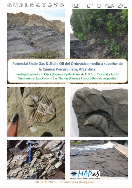 Resumen: Shale Gas & Oil de la Cuenca Precordillera