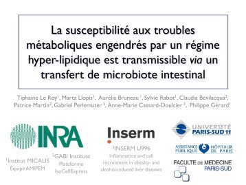 La susceptibilitÃ© aux troubles mÃ©taboliques induits par un ... - Afef