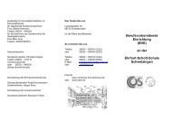 Info-Flyer - Ehrhart-Schott-Schule Schwetzingen