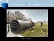 VOORBEELDEN TOEPASSINGEN PHOTOSHOP - SNT WESP