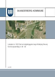 Lokalplan nr. 1023 - Kildebjerg Ry A/S