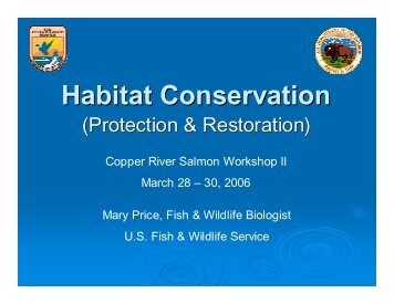 Habitat Conservation (Protection & Restoration) - Ecotrust