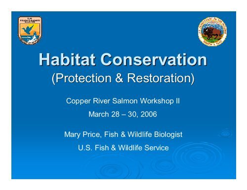 Habitat Conservation (Protection & Restoration) - Ecotrust