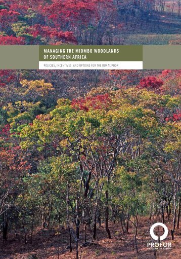 Managing the Miombo Woodlands of Southern Africa - PROFOR