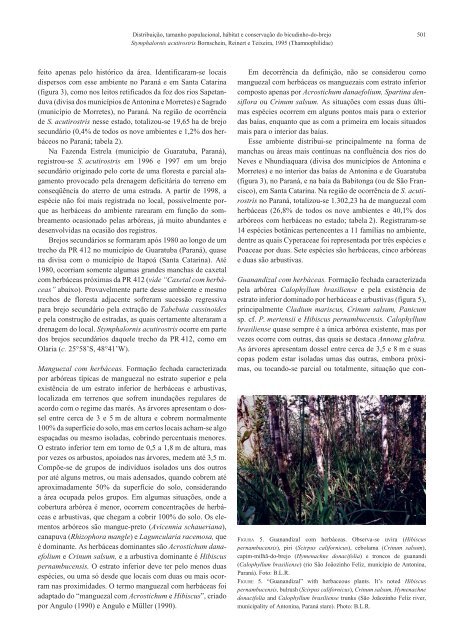 Revista Brasileira de Ornitologia - Sociedade Brasileira de Ornitologia