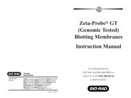 Zeta-ProbeÂ® GT (Genomic Tested) Blotting Membranes ... - Bio-Rad