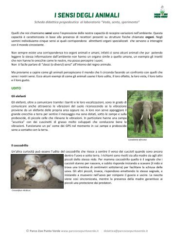 Scheda propedeutica al Lab. vedo sento ... - Parco Zoo Punta Verde