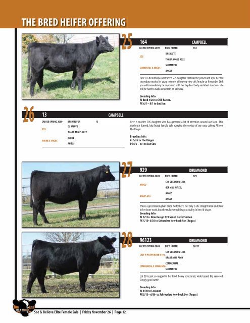 See & Believe Female Sale - Dwyer Cattle Services