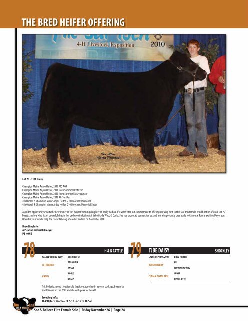 See & Believe Female Sale - Dwyer Cattle Services