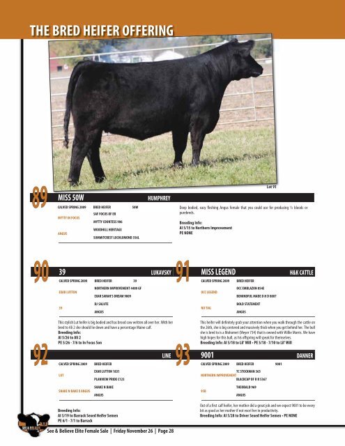 See & Believe Female Sale - Dwyer Cattle Services