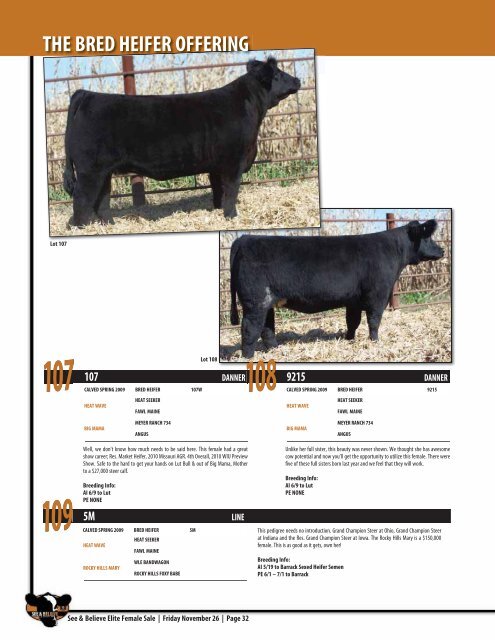 See & Believe Female Sale - Dwyer Cattle Services