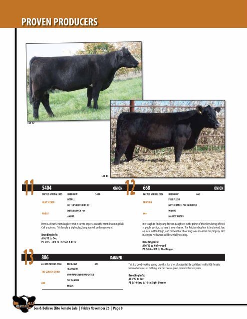 See & Believe Female Sale - Dwyer Cattle Services