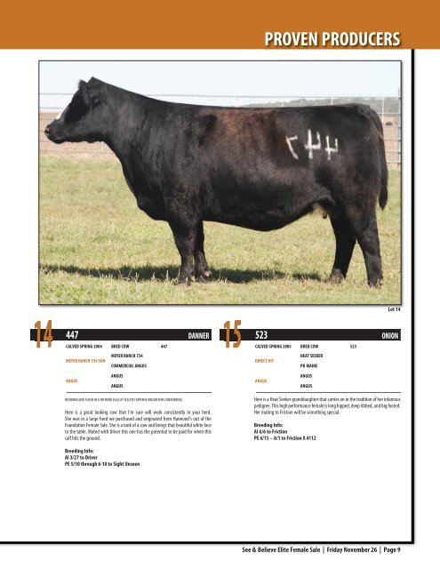 See & Believe Female Sale - Dwyer Cattle Services