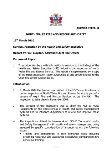 Health and Safety Executive Report and Action Plan