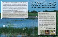 Wetlands in the Texas Blackland Prairie - Trinity Waters