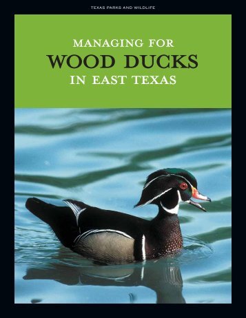 Managing for Wood Ducks in East Texas - Trinity Waters