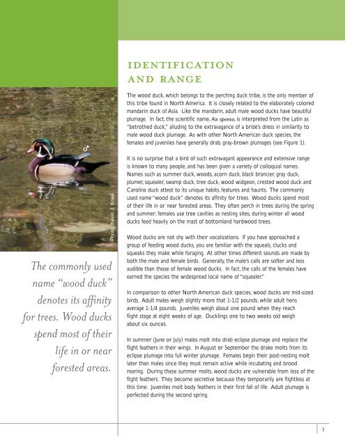 Managing for Wood Ducks in East Texas - Trinity Waters