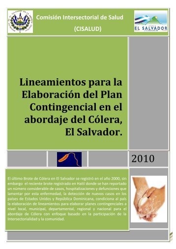 Lineamientos para la ElaboraciÃ³n del Plan Contingencial ... - Fosalud