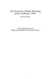 The Potential of Whale Watching in the Caribbean: 1999+