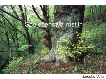 SpoleÄenstva rostlin