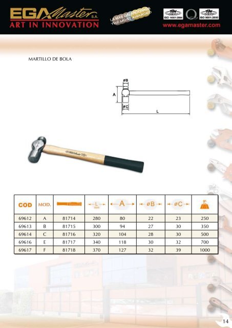 FICHA TÃCNICA MARTILLOS y PICOS - Ega Master