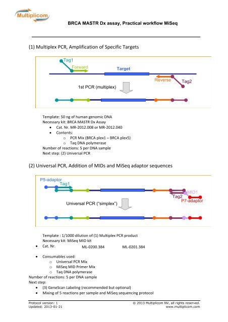2 universal pcr addition of mids and miseq multiplicom