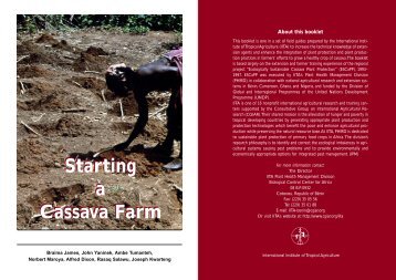 Starting a cassava farm - Infonet-Biovision