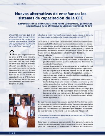 los sistemas de capacitaciÃ³n de la CFE - Instituto de Investigaciones ...