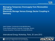 Electricity Storage Versus Energy Sector Coupling in Germany