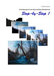 Step-by-Step 1 - Malschule Chris Hansen