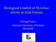 Biological Control of Hylobius abietis in Irish ... - COST Action 850