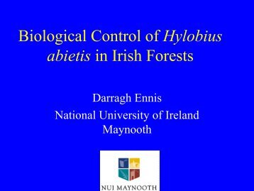 Biological Control of Hylobius abietis in Irish ... - COST Action 850