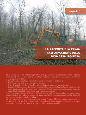 PDF (La raccolta e la prima trasformazione della biomassa legnosa ...
