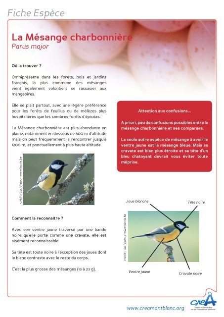 Protocole et fiche de suivi - CREA