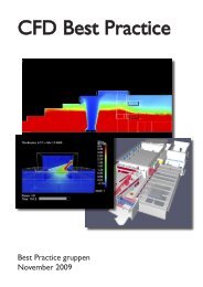 CFD Best Practice - Niras