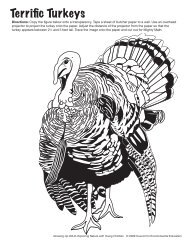 Terrific Turkeys - Project Wild