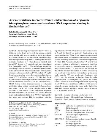 Arsenic resistance in Pteris vittata L.: identification ... - ResearchGate