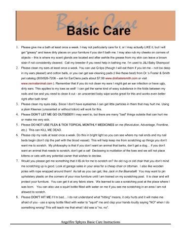 Angelfire Sphynx Basic Care Instructions