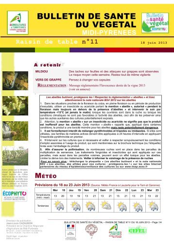 BULLETIN DE SANTE DU VEGETAL - DRAAF Midi-PyrÃ©nÃ©es