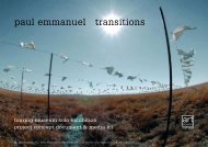TRANSITIONS project concept document and ... - Paul Emmanuel