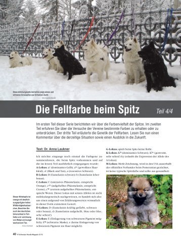 Die Fellfarbe beim Spitz Teil 4/4 - Liebhaber des Deutschen Spitzes ...