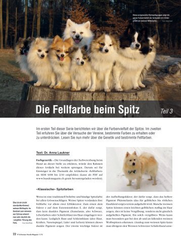 Die Fellfarbe beim Spitz Teil 3 - Liebhaber des Deutschen Spitzes eV