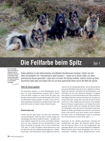 Die Fellfarbe beim Spitz Teil 1 - Liebhaber des Deutschen Spitzes eV