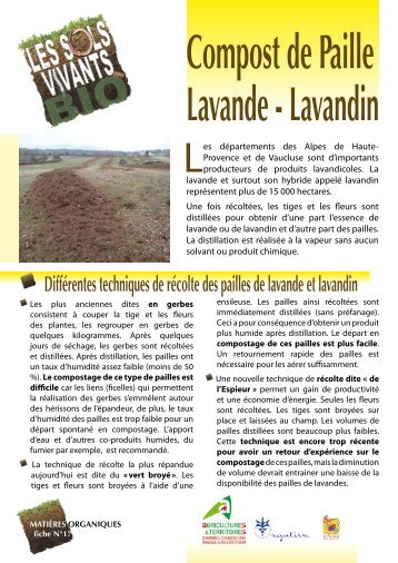 Compost de paille de Lavande-Lavandin - CAS