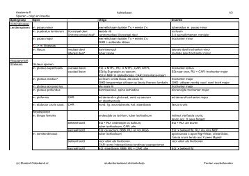 Spieren - origo en insertie - Student Onbekend.nl