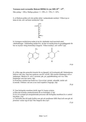 Tentamen med svarsmallar Biokemi BI0968, 8:e jan 2009, 0915 ...