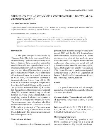 studies on the anatomy of a controversial brown alga, cystoseira indica