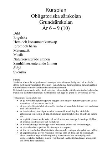 Lokal kursplan SÃ¤rskolan 2007.pdf