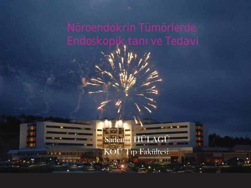 NÃ¶roendokrin TÃ¼mÃ¶rler - Prof. Dr. Sadettin HÃ¼lagÃ¼