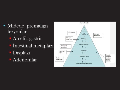 NÃ¶roendokrin TÃ¼mÃ¶rler - Prof. Dr. Sadettin HÃ¼lagÃ¼